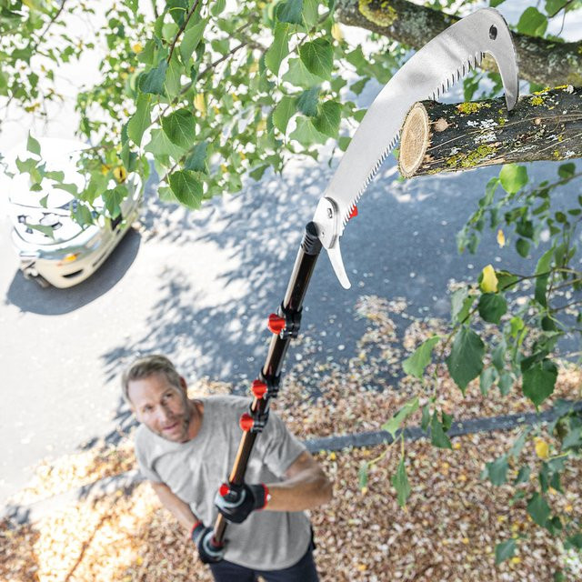 Scheppach XXL Teleskop-Astsäge aus Aluminium in Silber, Reichweite 500 cm - Bild 1