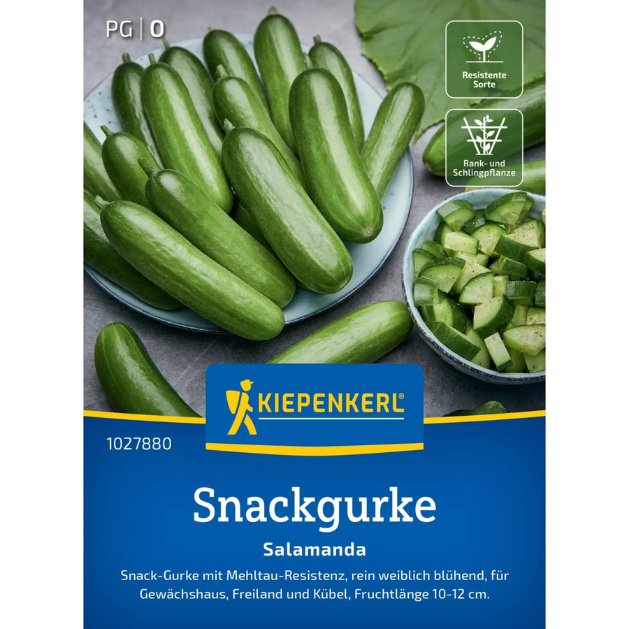 Kiepenkerl Salatgurke Salamanda F1 Gemüsesaat für Freiland und Gewächshaus - Bild 2