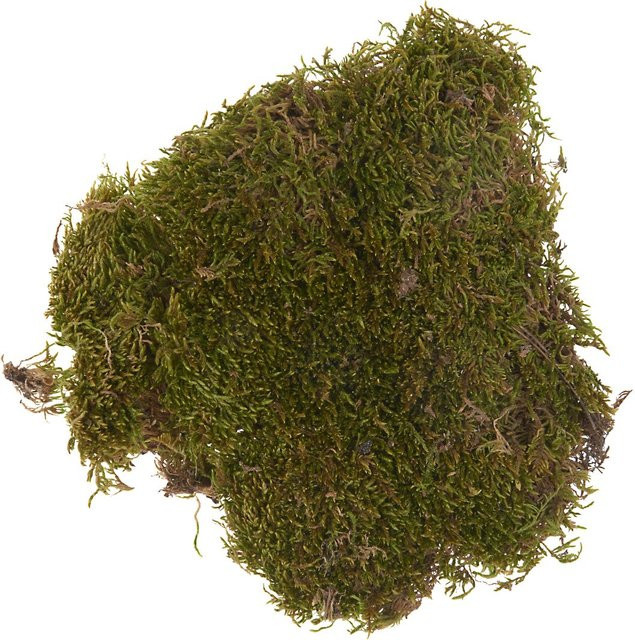 VBS Plattenmoos in Grün, 50 g - Bild 1