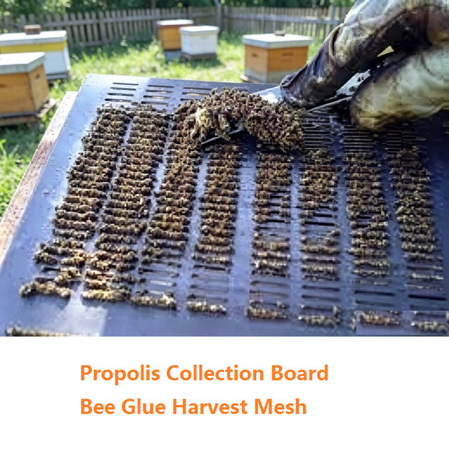 GREENVIVE Imkerei-Propolis-Sammelbrett in Braun als Bienenkleber-Erntegitter und Propolis-Sammelwerkzeug - Bild 1