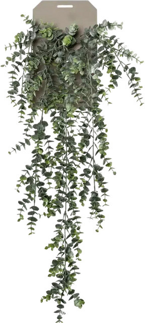 Künstlicher Hänge-Eucalyptus Richard von Aplanta, Grün, Höhe: 75 cm - Bild 1