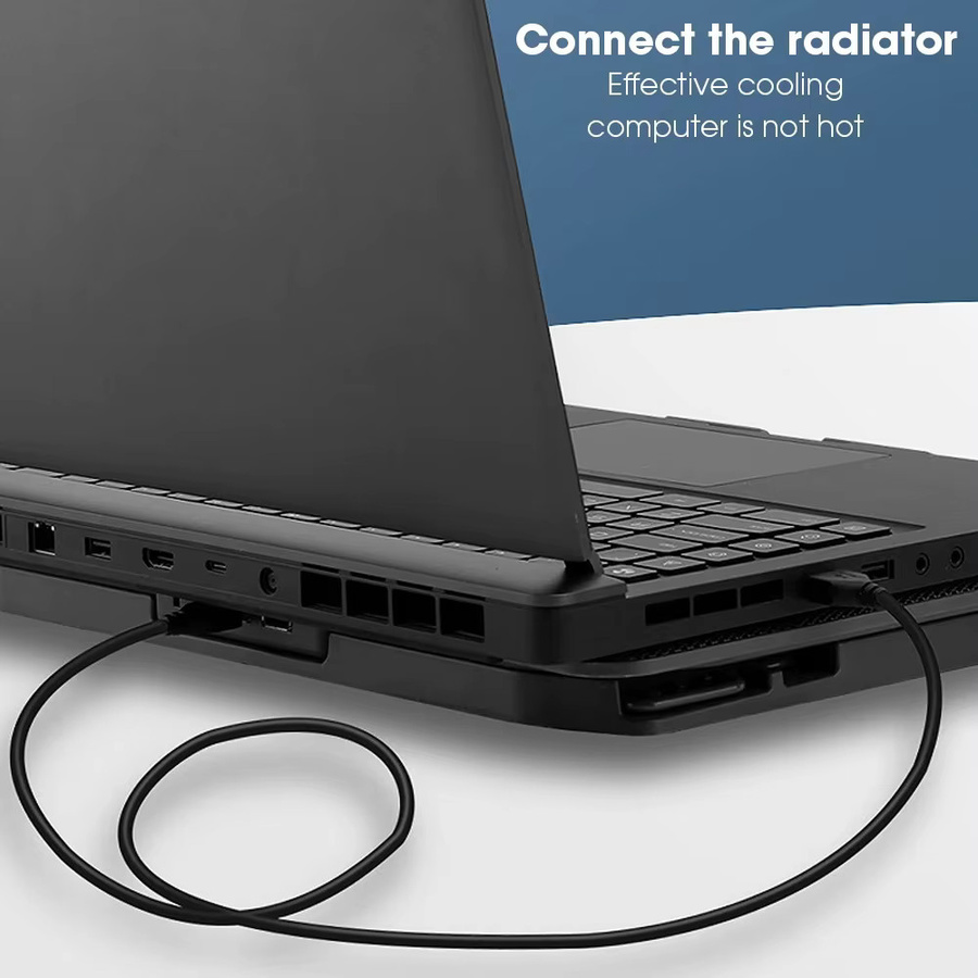 USB Typ A zu Typ A Dual-Stecker USB 2.0 Verlängerungskabel in Schwarz - Bild 3