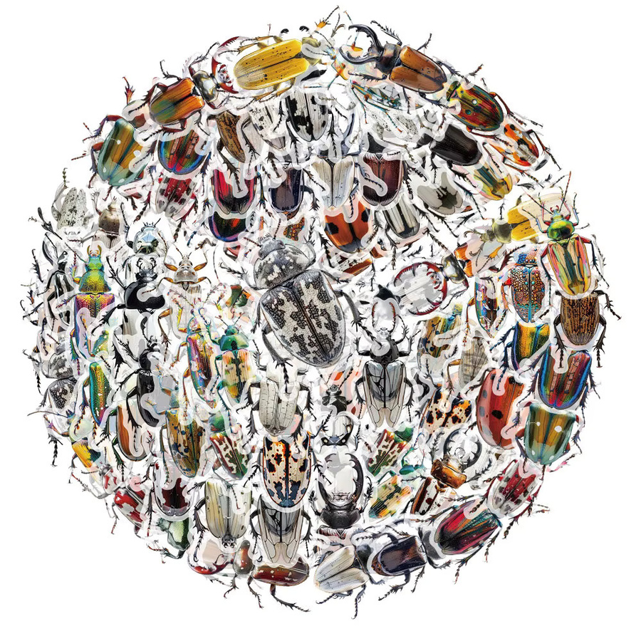 Charile Cartoon-Insekten-Käfer-Aufkleber, transparent, multicolour, 10-teiliges Set - Bild 2