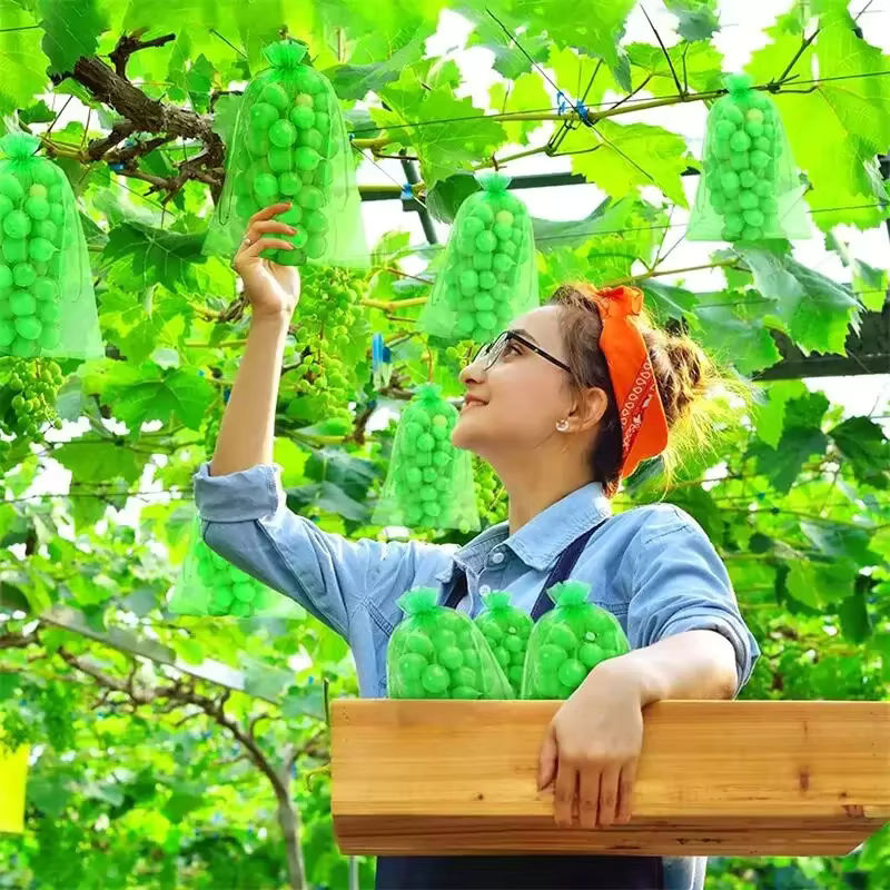 50 Organza-Schutzbeutel aus atmungsaktivem Mesh für Trauben, Erdbeeren und Sämlinge, Farbe: Weiß/Transparent - Bild 4