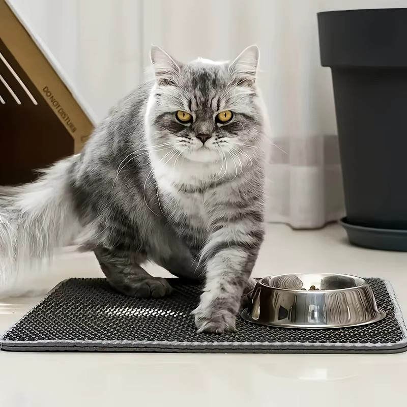 DUTRIEUX Katzennatte in Grau, extra große doppelschichtige und auslaufsichere Futternapf für Katzen, B/T/H: 30 x 30 x 30 cm - Bild 1