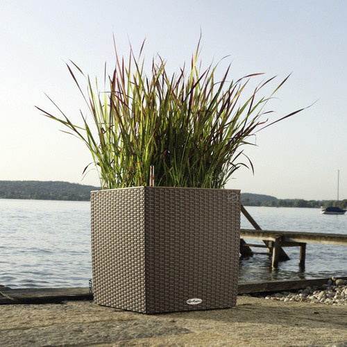LECHUZA Pflanzgefäß CUBE in Sandbraun, B/T/H: 29,5 x 29,5 x 30 cm - Bild 3