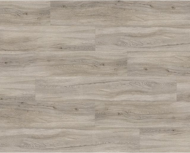 Parador Vinylboden Basic 5.3 NK33 Eiche Pastellgrau in Holzoptik mit Click-System - Bild 1