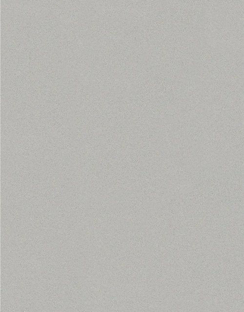Schöner Wohnen Vliestapete Uni Beige FSC - Bild 1
