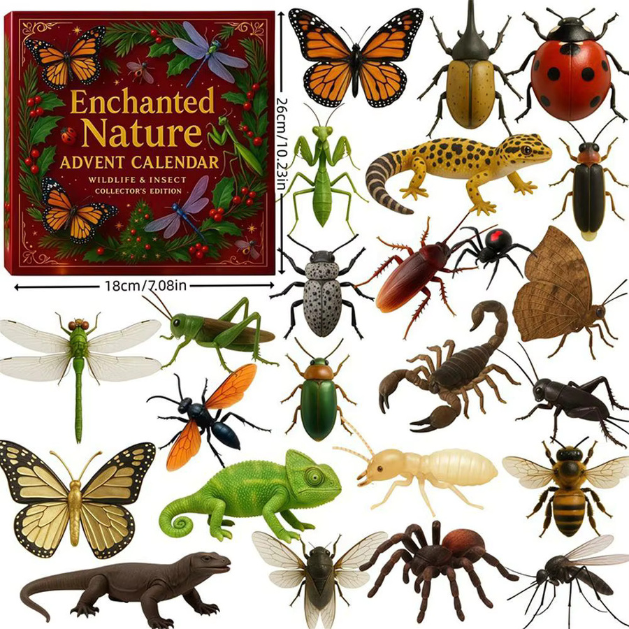 Natures Tricks Adventskalender, Insektenthema, Naturwissenschaftliche Bildung - Bild 4
