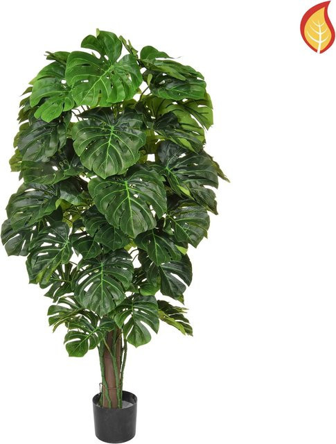 Künstliche Monstera Pflanze von Aplanta, grün, Höhe: 150 cm - Bild 1