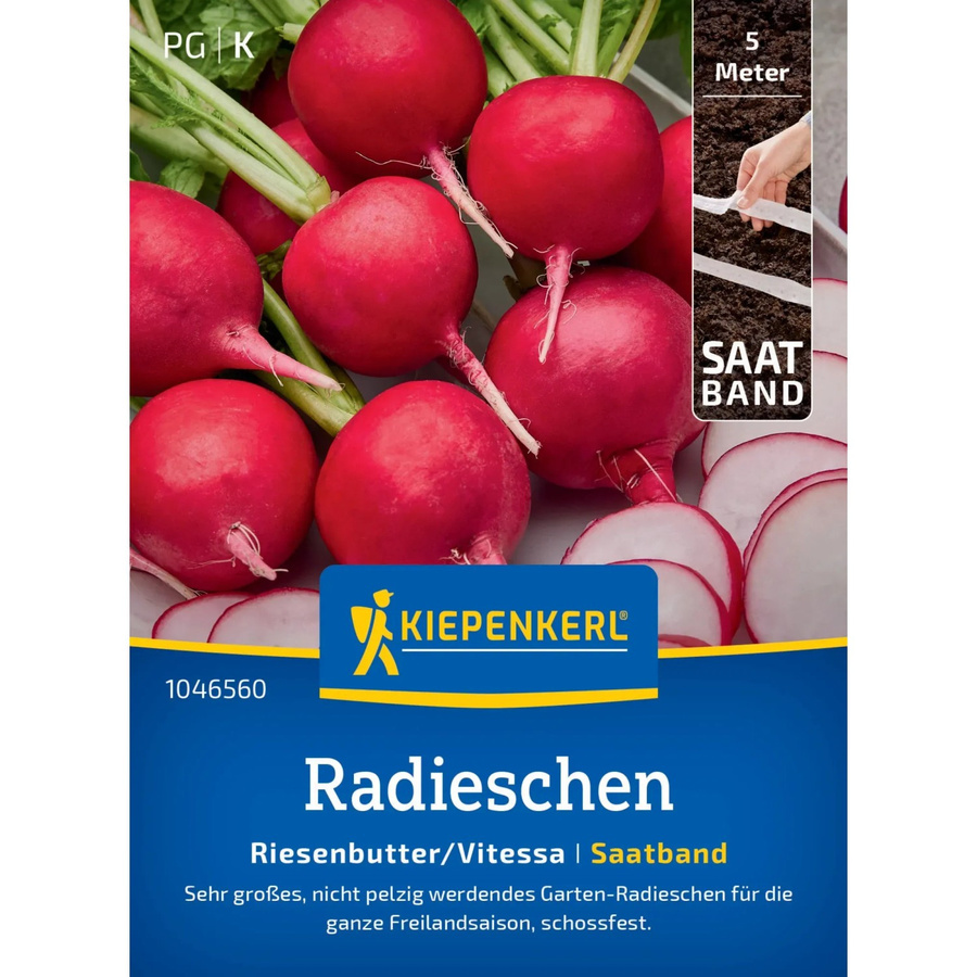 Kiepenkerl Radieschen Vitessa Saatband für Gemüse im Freiland - Bild 2