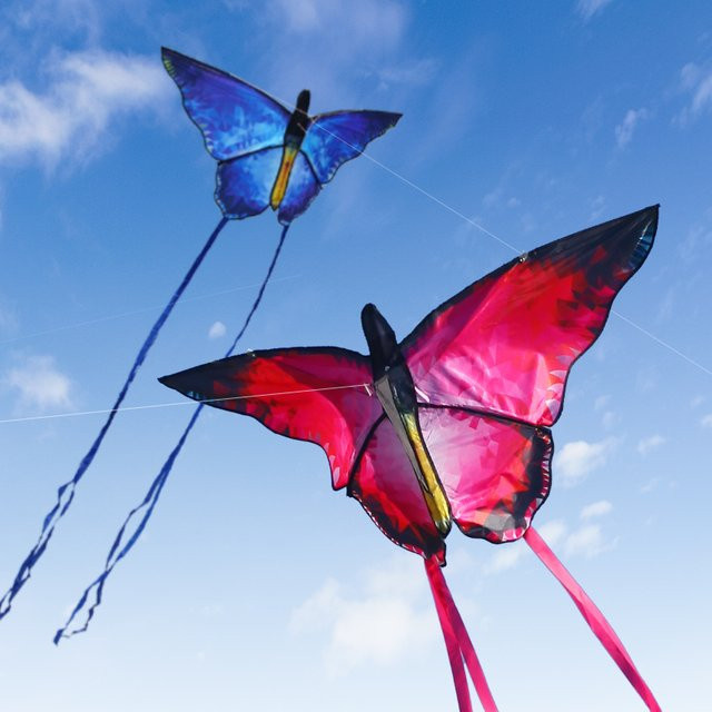 YongJian Butterfly Kite Red, ab 14 Jahren - Bild 1