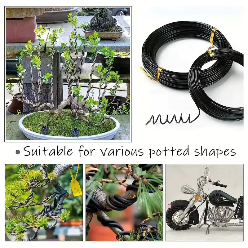 5Reis Bonsai-Aluminiumdraht in Schwarz für die Modellierung und das Training von Zimmerpflanzen, Durchmesser: 1–4 mm - Bild 3
