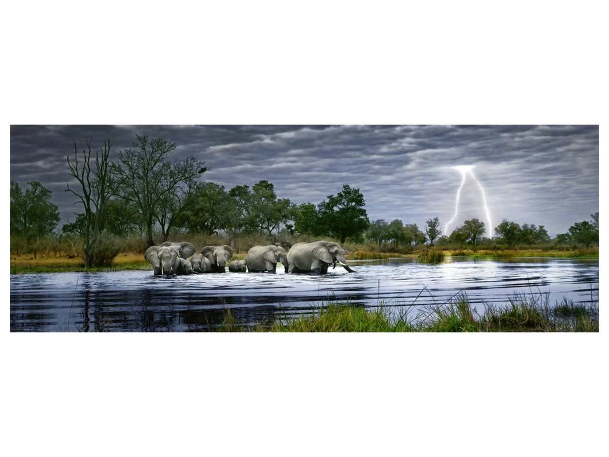 Heye Puzzle Panorama Herd of Elephants ab 8 Jahren 2000 Teile - Bild 2