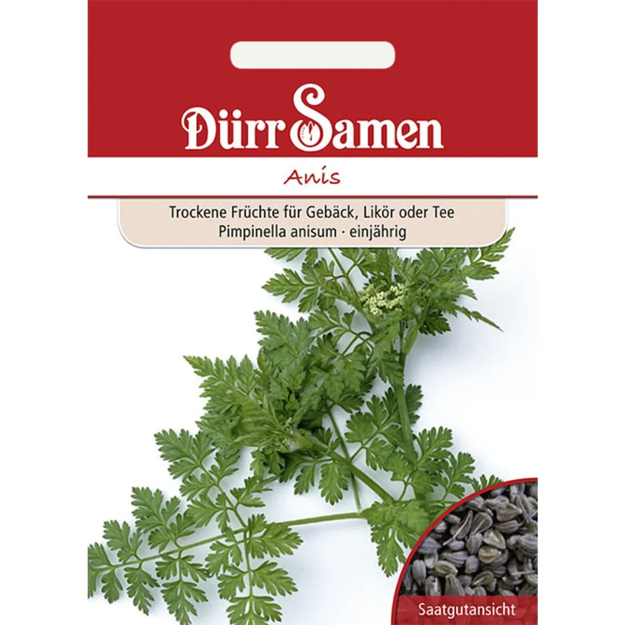 Dürr Anis Saatgut 155 g - Bild 2