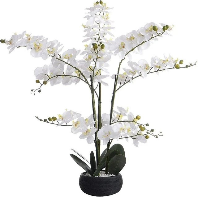 Vente-unique Kunstpflanze Tara Orchidee in Grün und Weiß mit Zementtopf, Höhe: 54 cm - Bild 1