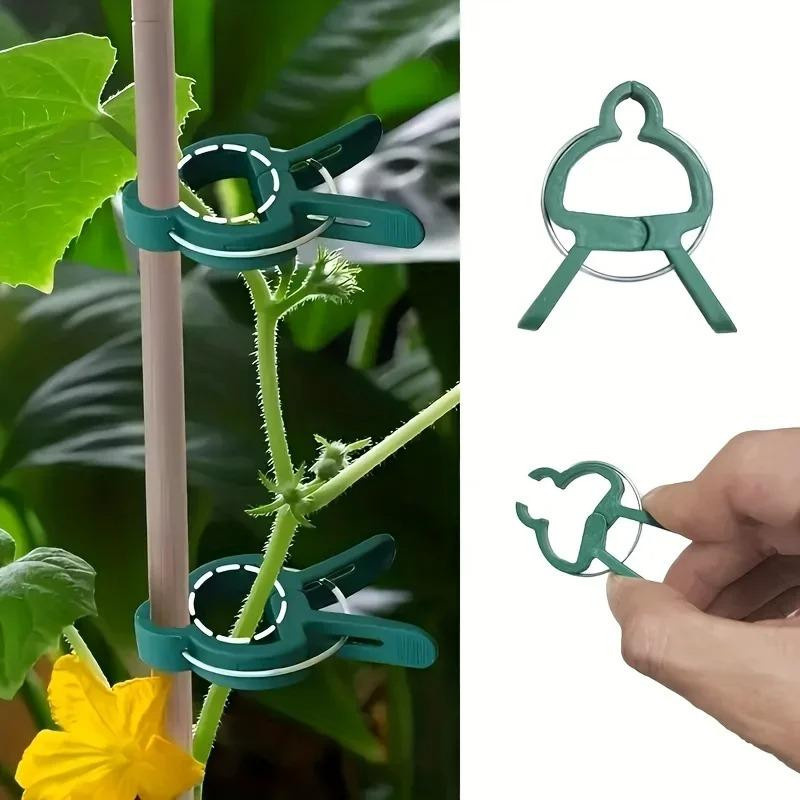 100 Stück verstellbare Pflanzenfixierclips von YWZT Home Depot in Grün zur Befestigung von Blumen, Ranken und Tomaten im Garten - Bild 7