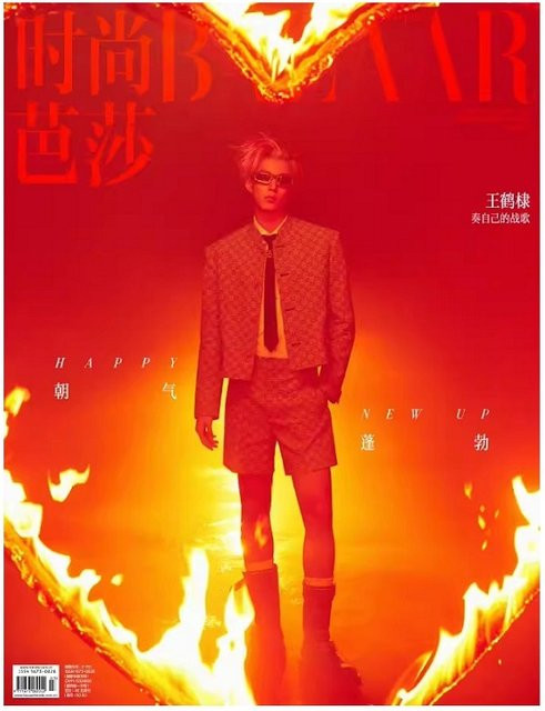 Wang Hedi Harper's Bazaar Magazine Cover Kunstsammlungsbuch mit Fotoalbum und Insider-Aufnahmen - Bild 1