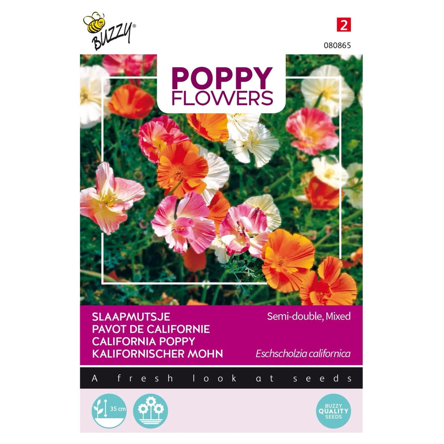 Arborix Kalifornischer Mohn Buzzy Poppy Samen für den Garten, reichblühende Schnittblumen, 1 g - Bild 2