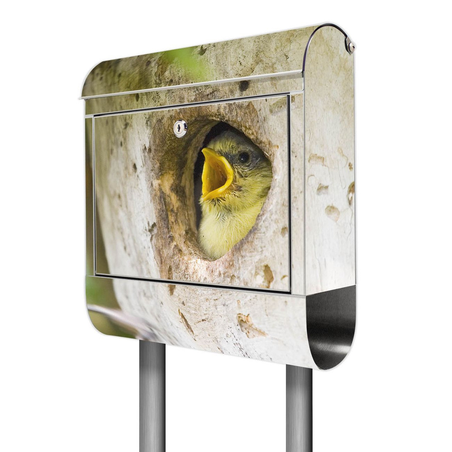 banjado Standbriefkasten aus Edelstahl mit Zeitungsfach und Motiv Blaumeise, Farbe Silber/Mehrfarbig, B/T/H: 38 x 14 x 161,5 cm - Bild 1