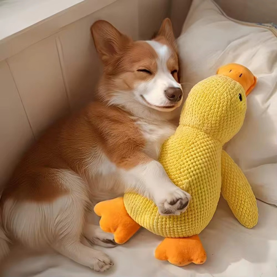 Kaubare Plüsch-Ente, Hundespielzeug - Bild 3