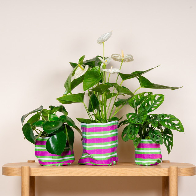 3er Set gestreifte Körbe von BLUME2000 in Grün und Pink - Bild 1