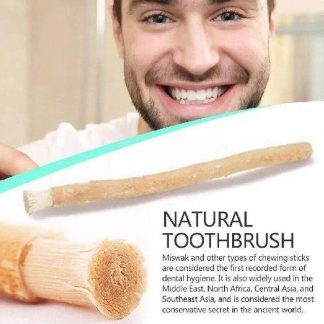 HNKMP Miswak Zahnbürste, natürlicher Zahnaufheller, Unisex - Bild 1
