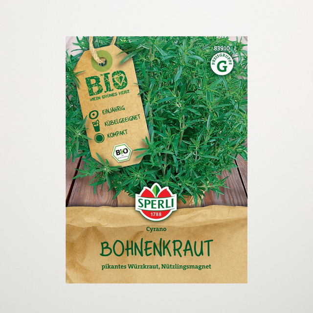 Sperli Bohnenkraut Cyrano Bio Samen - Bild 1