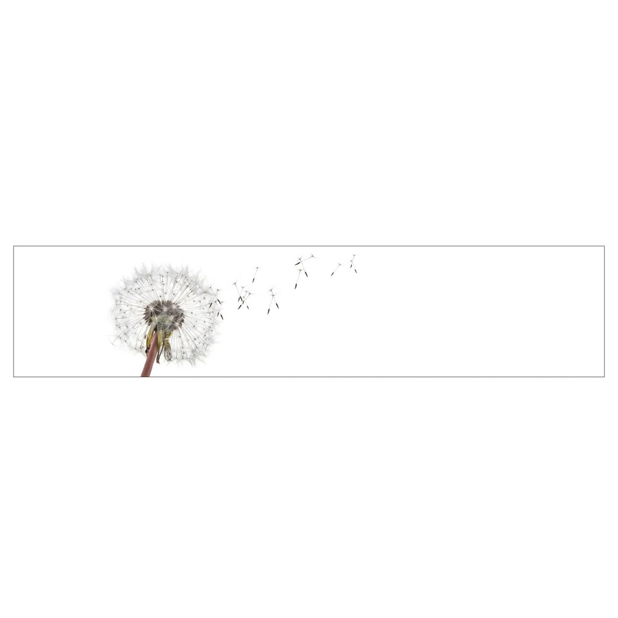 MySpotti Küchenrückwand Profix Cucina Dandelion in Weiß-Grau mit Aluminiumprofil, B: 270 cm, H: 60 cm - Bild 1