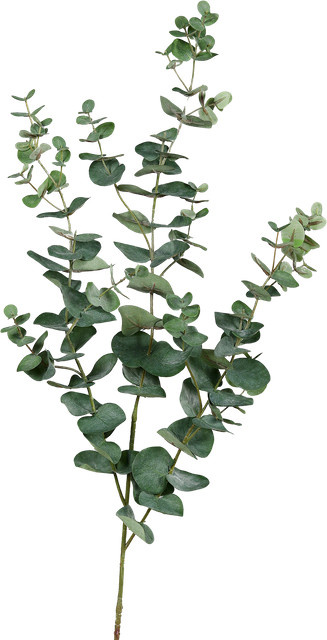 Künstlicher Eukalyptus Zweig Cobra von Aplanta, Grün, Höhe: 113 cm - Bild 1