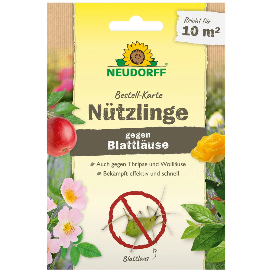 Neudorff Nützlinge gegen Blattläuse biologische Schädlingsbekämpfung für 10 m² - Bild 2