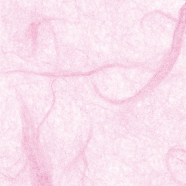 folia Faserseide aus Maulbeerbaumfasern in Rosa, Breite: 47 cm, Höhe: 64 cm - Bild 1