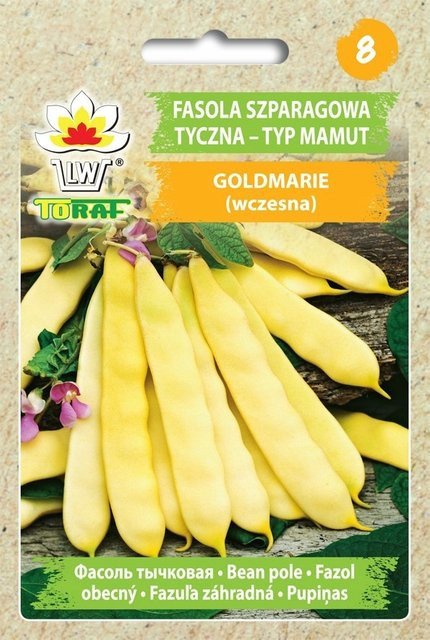 GOLDMARIE Zaden Aspergebonen-type Mamut Gemüsesamen 10g - Bild 1