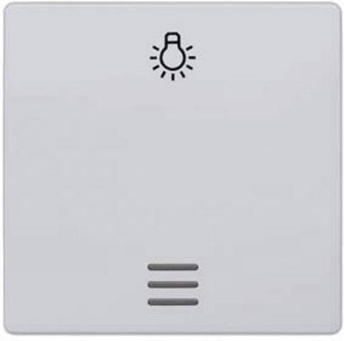 Siemens Schalterprogramm 1fach in Silber Aluminium 5TG6246 - Bild 1