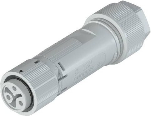 Wieland Electric 46.031.4453.0 Steckverbinder in Grau - Bild 1