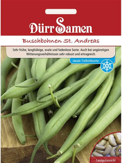 Dürr Buschbohnen St. Andreas Saatgut 155 g - Bild 1