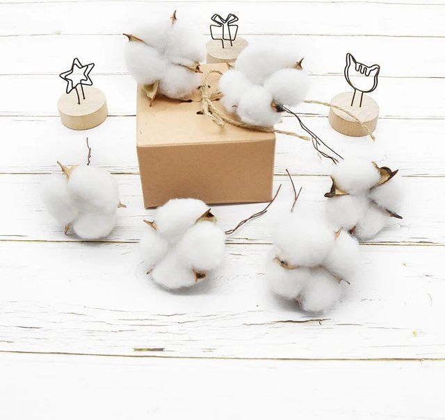10 Stück Künstliche Baumwollblüten in Weiß für deine Weihnachtsdekoration und Hochzeitsfloristik als DIY Zubehör - Bild 1