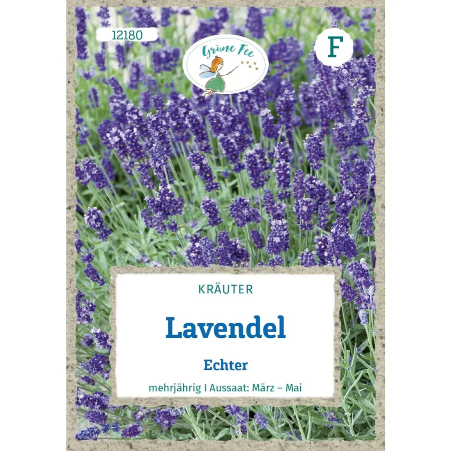 Grüne Fee Lavendel Saatgut für Würzkräuter und Tee - Bild 2