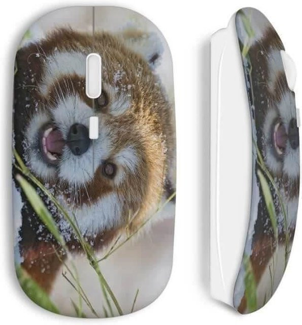 Kabellose Wi-Fi Maus von Red Panda in Multicolour - Bild 1