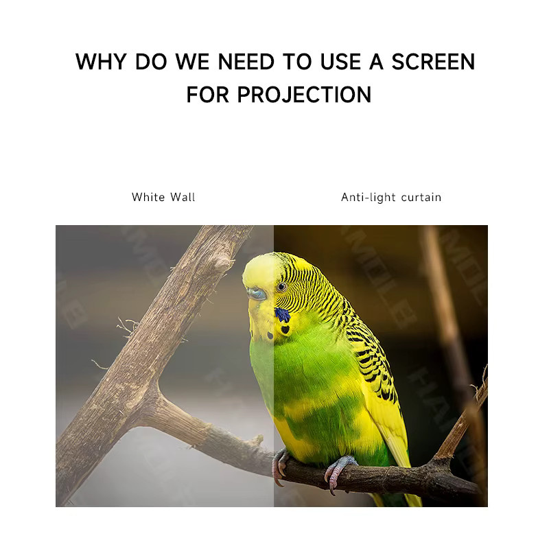 Projektor Leinwand aus reflektierendem Anti-Licht-Stoff in Silber und Grau für Xiaomi und Xgimi Projektoren - Bild 2