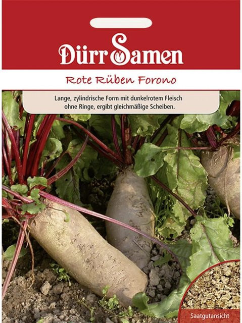 Dürr Rote Rüben Forono Saatgut 250 g - Bild 1