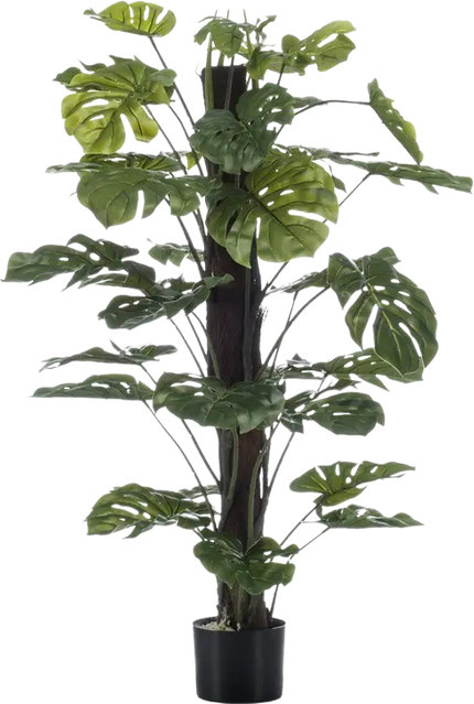 Künstliche Monstera am Stamm von Aplanta, Höhe: 210 cm - Bild 1