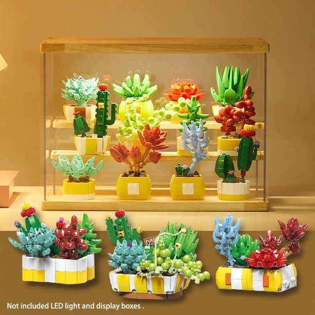 MEOA Sukkulenten Blumen Kaktus Aloe Vera, Bausteine, Bunt / Mehrfarbig - Bild 1