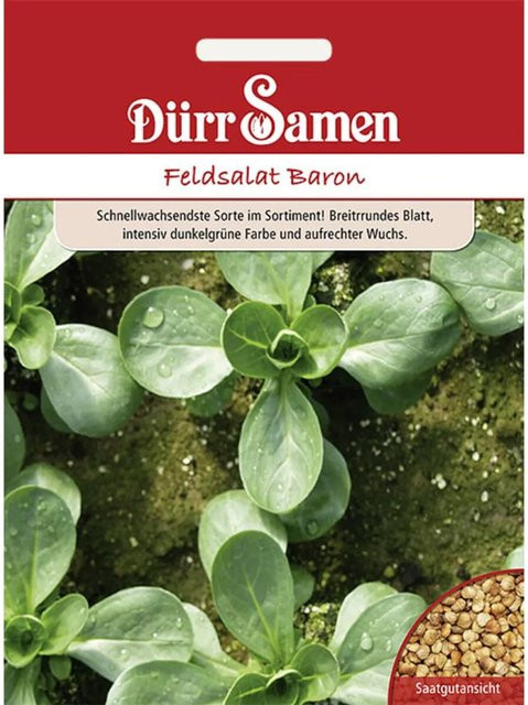 Dürr Samen Feldsalat Baron Saatgut für Sommer und Herbst, 400 g - Bild 1