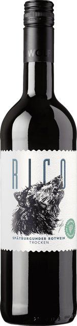Winzergenossenschaft Wolfenweiler Pinot Noir Rotwein, Baden, 2024, trocken, 0,75 l - Bild 1