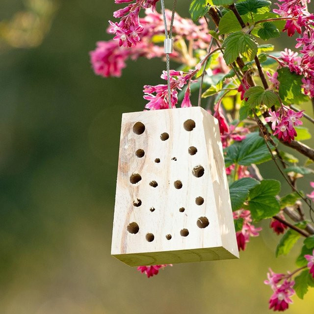 Navariso Holz-Insektenhotel von CJ Wildlife in Braun - Bild 1