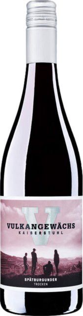 Oberrotweiler Winzerverein eG Spätburgunder Rotwein, Baden, trocken, 2024, 0,75 l - Bild 1