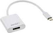 InLine USB-C auf DisplayPort Videokabel-Adapter Silber, Länge: 0,2 m - Bild 1