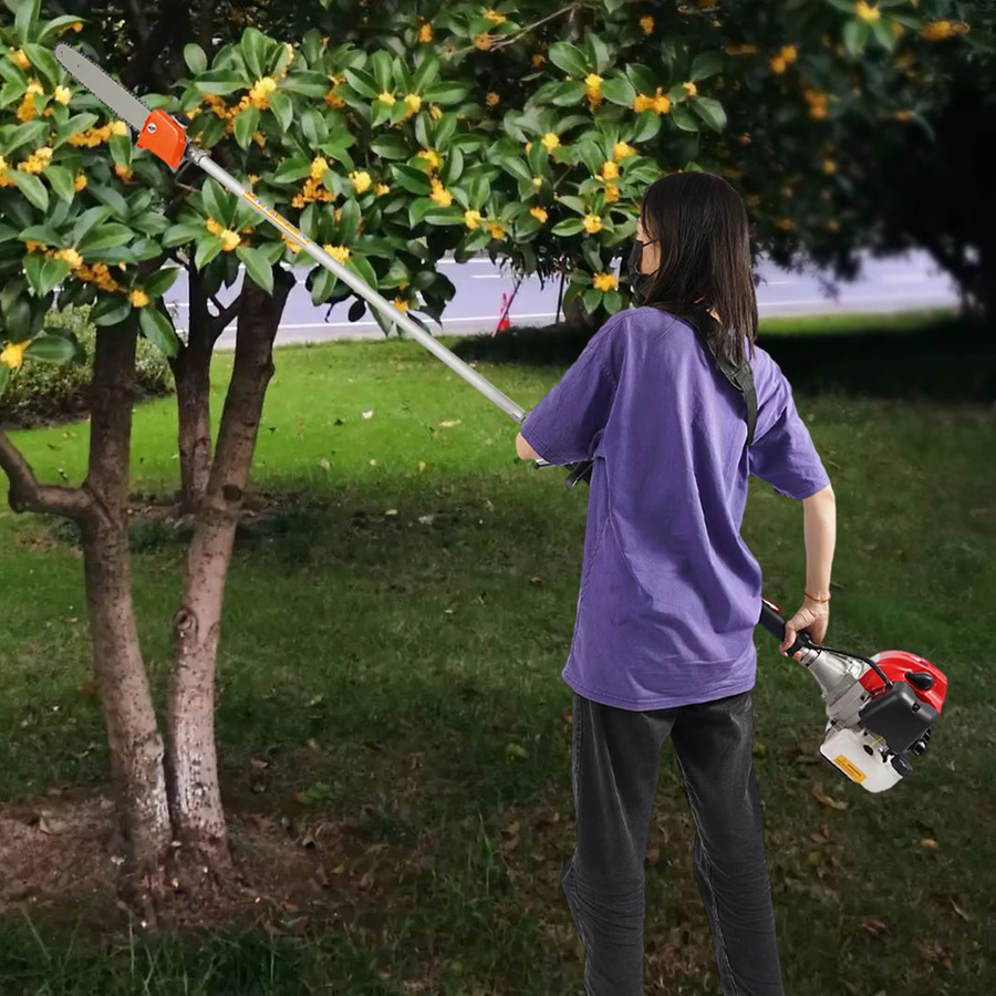 Bymaocar 43CC 2-Takt-Benzin-Stangensäge Teleskop-Hochastsäge mit 12-Zoll-Kettensäge und 1,25 kW für Garten- und Baumbeschnitt - Bild 3