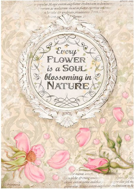 Stamperia Motiv-Strohseide In Nature in Pink und Multicolour, Format A4 - Bild 1